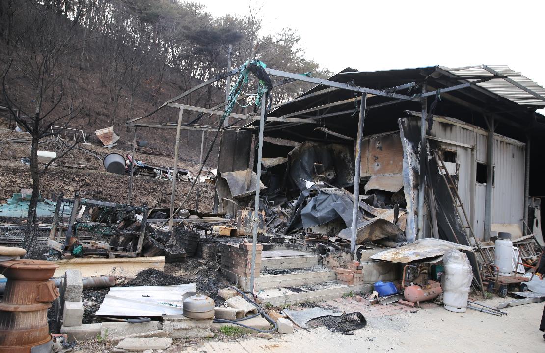 산불로 인해 전소된 집터